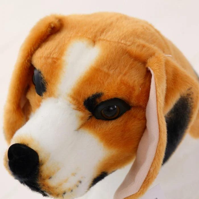 Beagle gosedjur