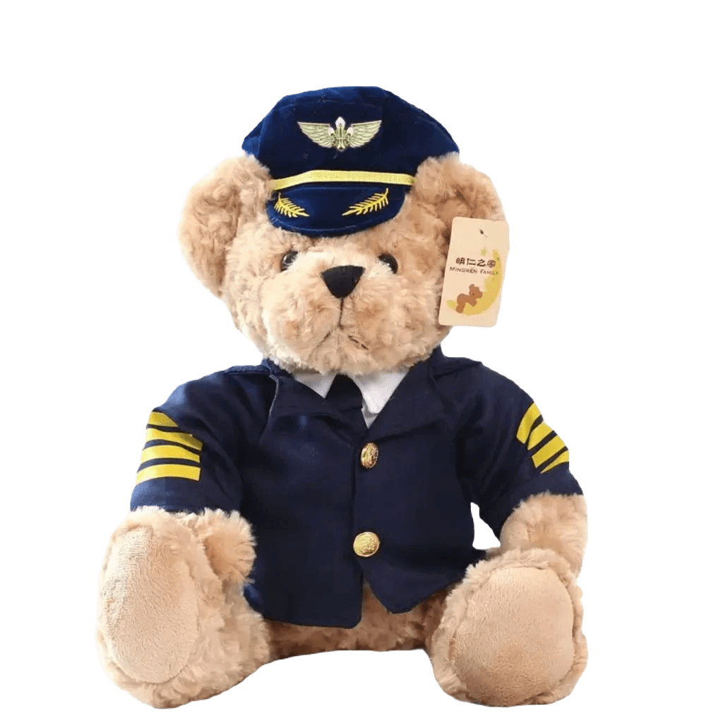 Pilot teddybjörn