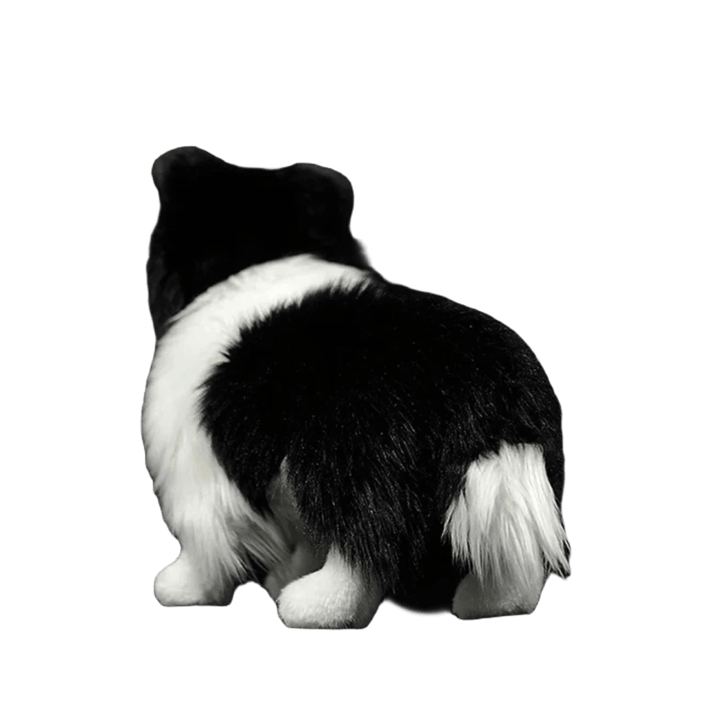 Border Collie gosedjur