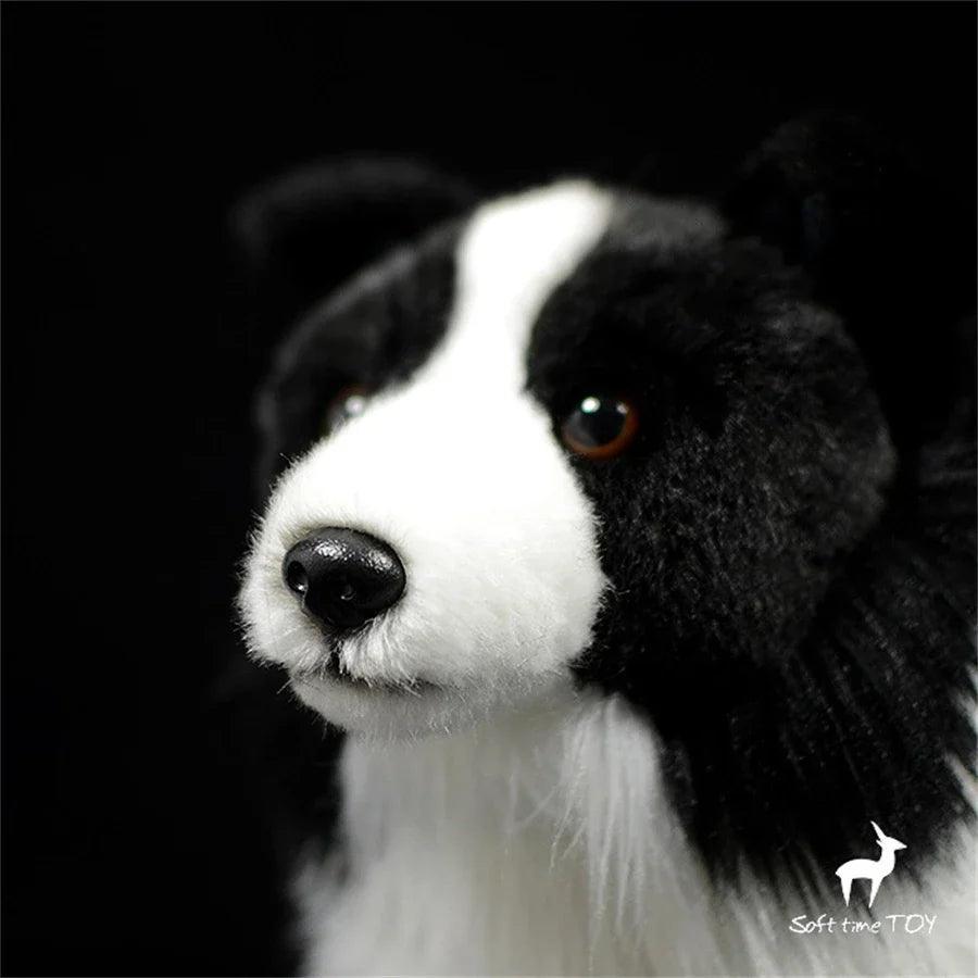 Border Collie gosedjur