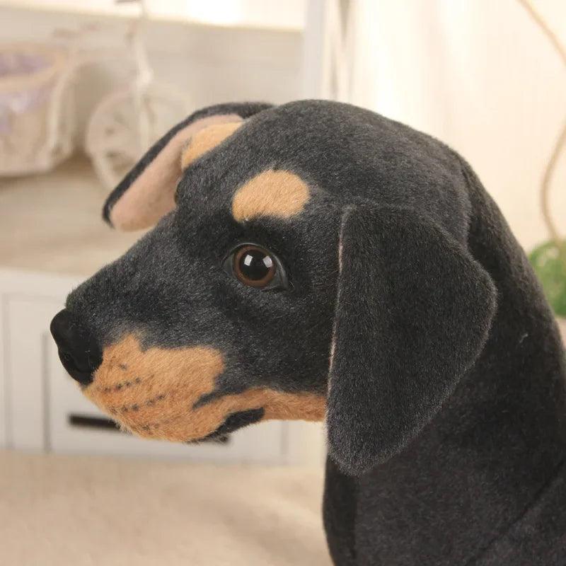 Rottweiler Nallebjörn