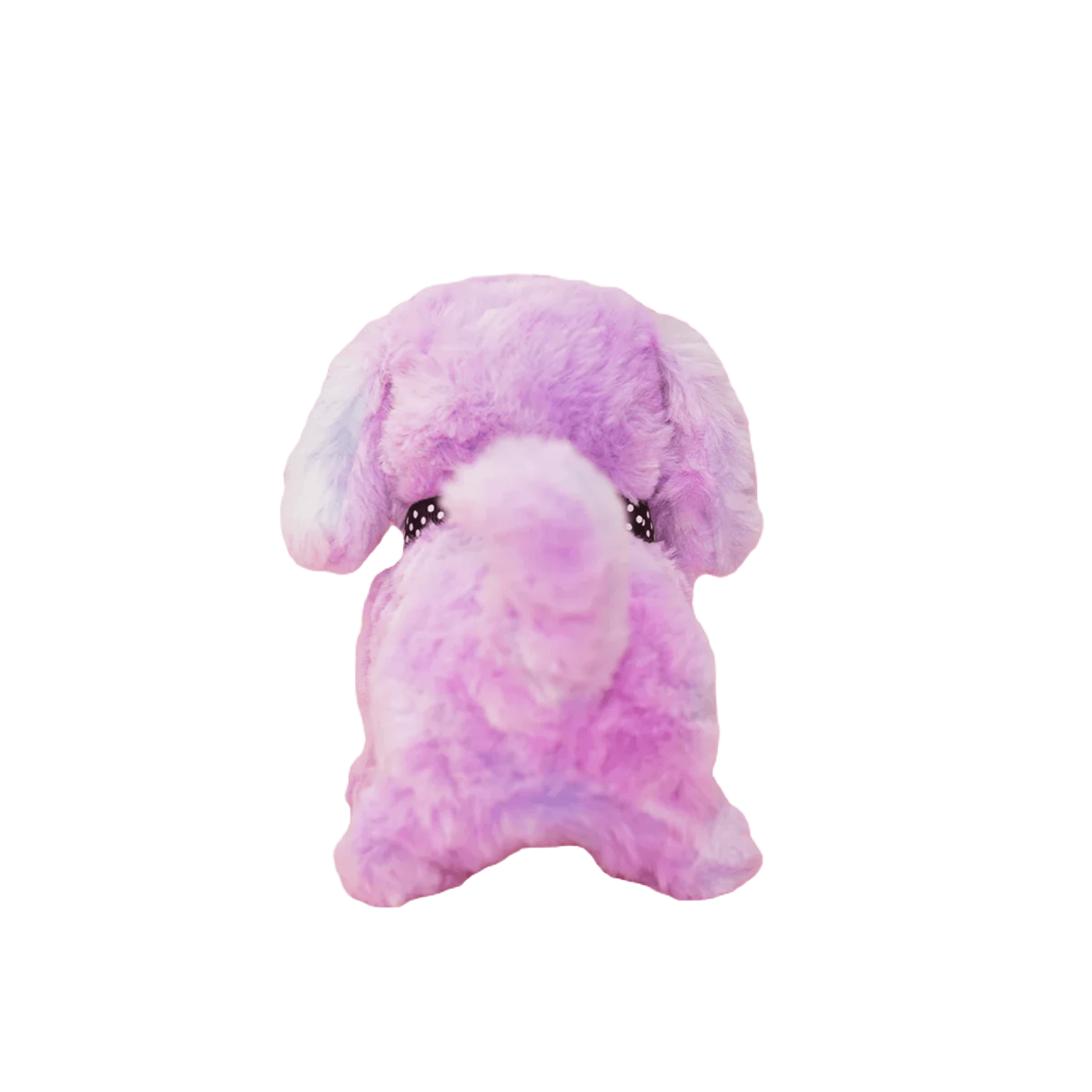 Cockapoo nallebjörn