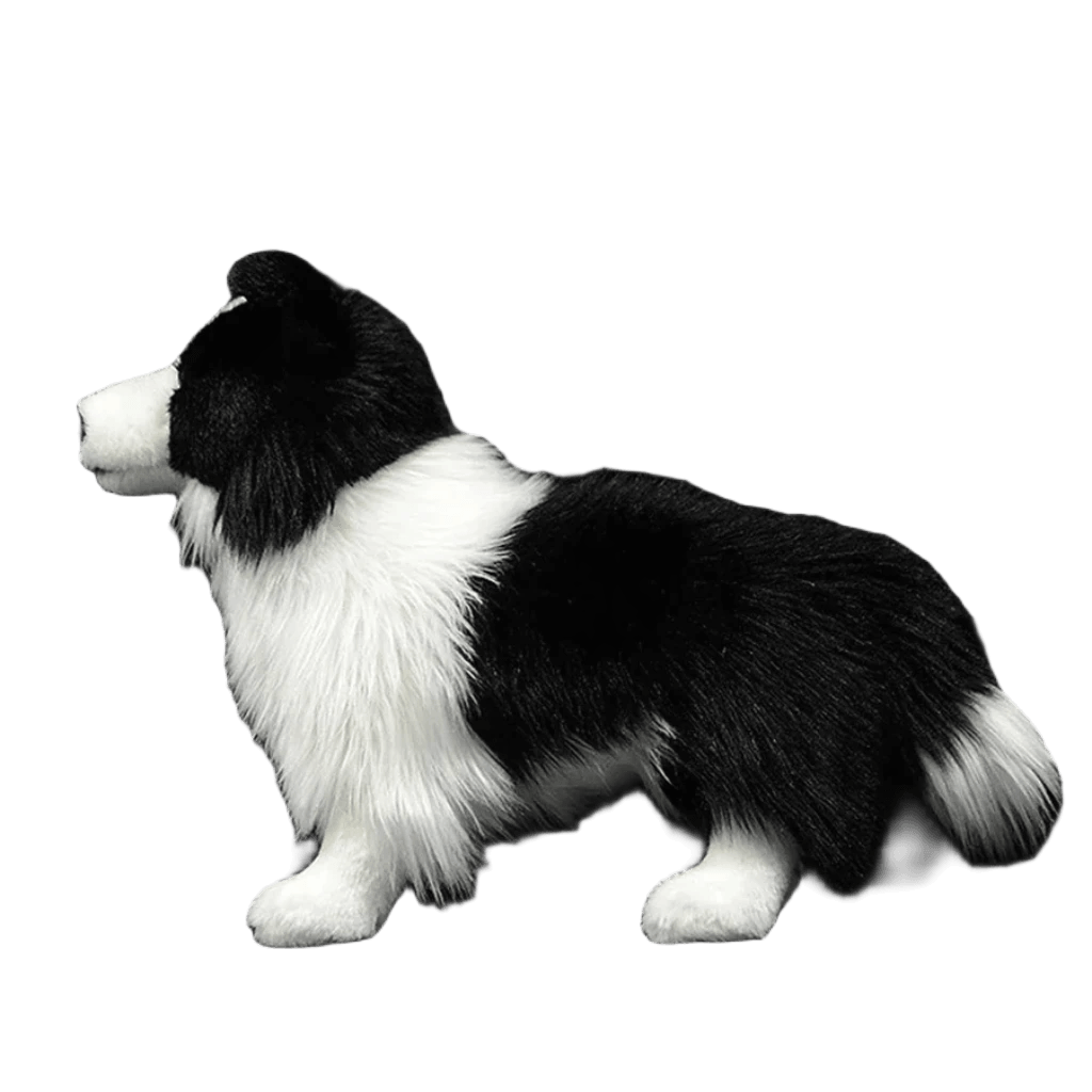 Border Collie gosedjur