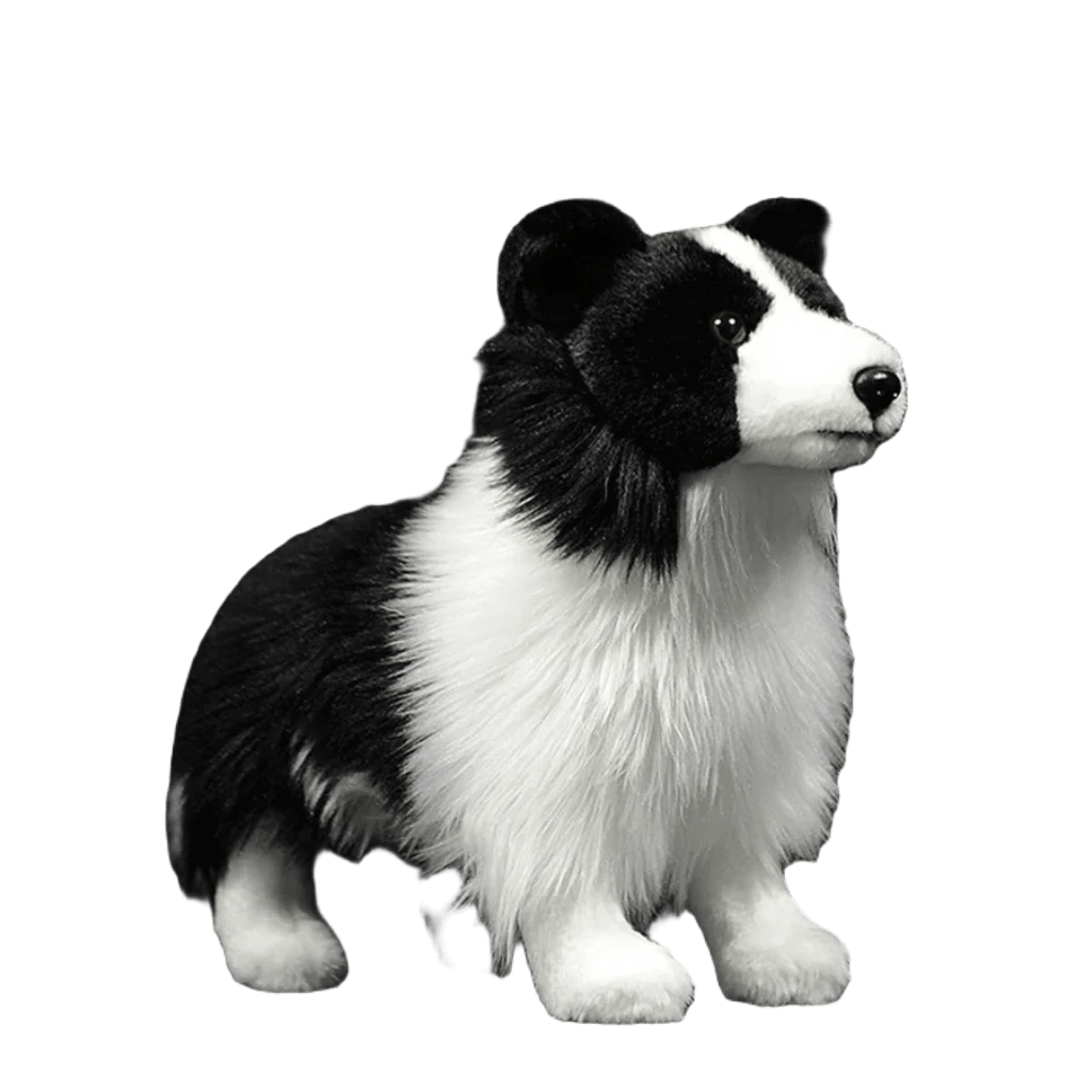 Border Collie gosedjur